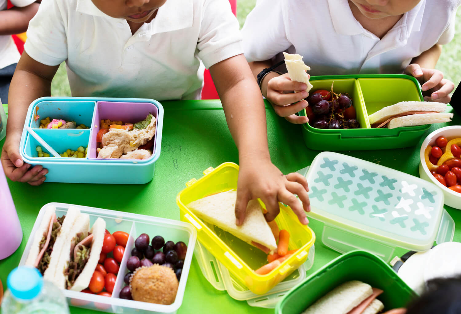 striking-a-balance-the-economics-of-school-lunch-programs